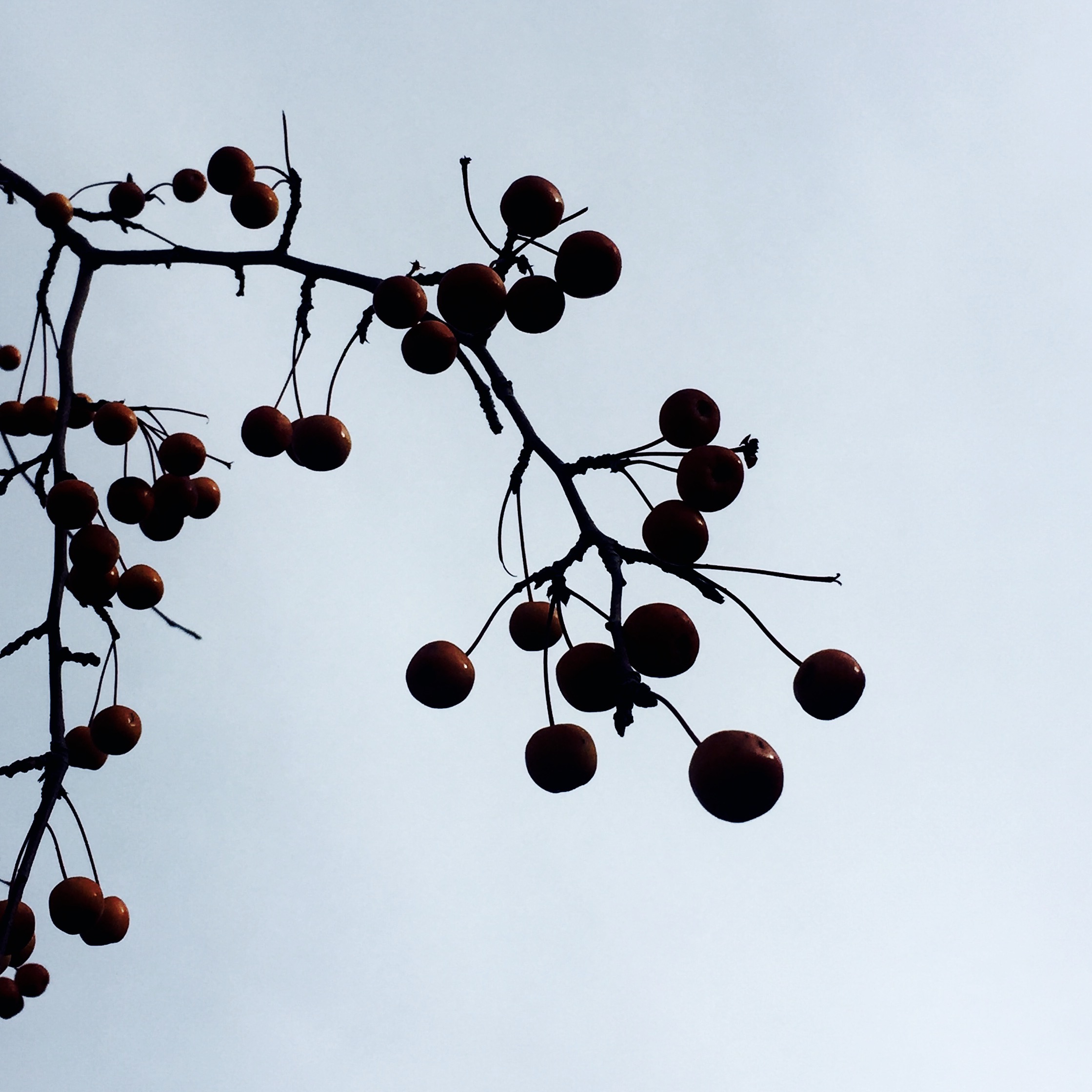 圖片關鍵詞 圖片關鍵詞